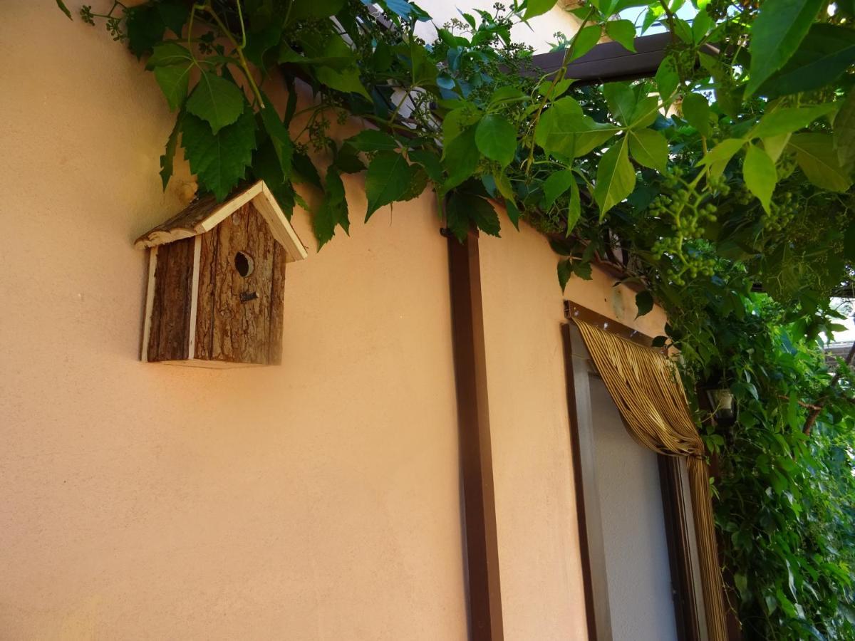 La Muntanya - Apartamentos Rural Guadalest Benimantell Εξωτερικό φωτογραφία